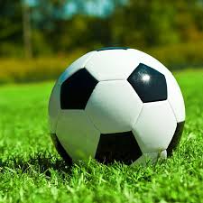 体育记者李女士